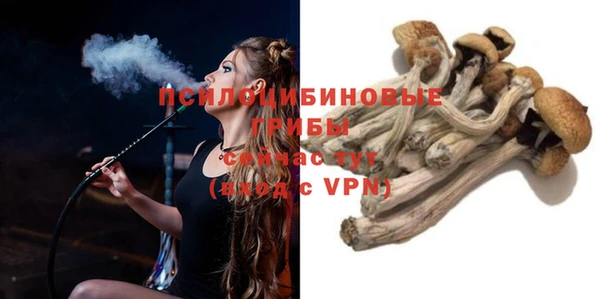 COCAINE Тайга