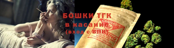 СК Зеленокумск