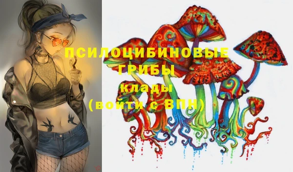 спайс Тавда