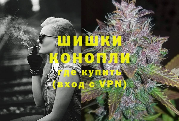 СК Зеленокумск
