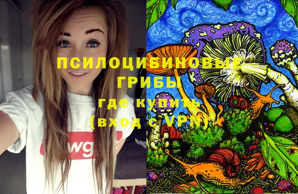 СК Зеленокумск