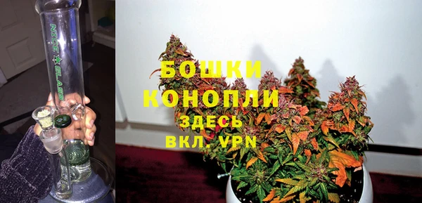 СК Зеленокумск