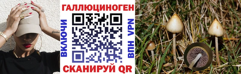 Купить  Новоалександровск  Галлюциногенные грибы GOLDEN TEACHER 