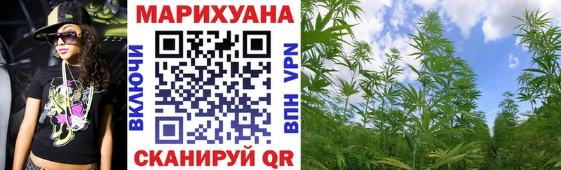 Купить закладки  Новоалександровск  Марихуана конопля 
